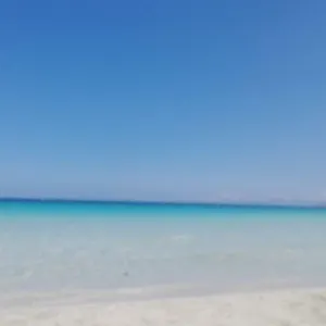 https://miklod-apartments.palermohotels.org